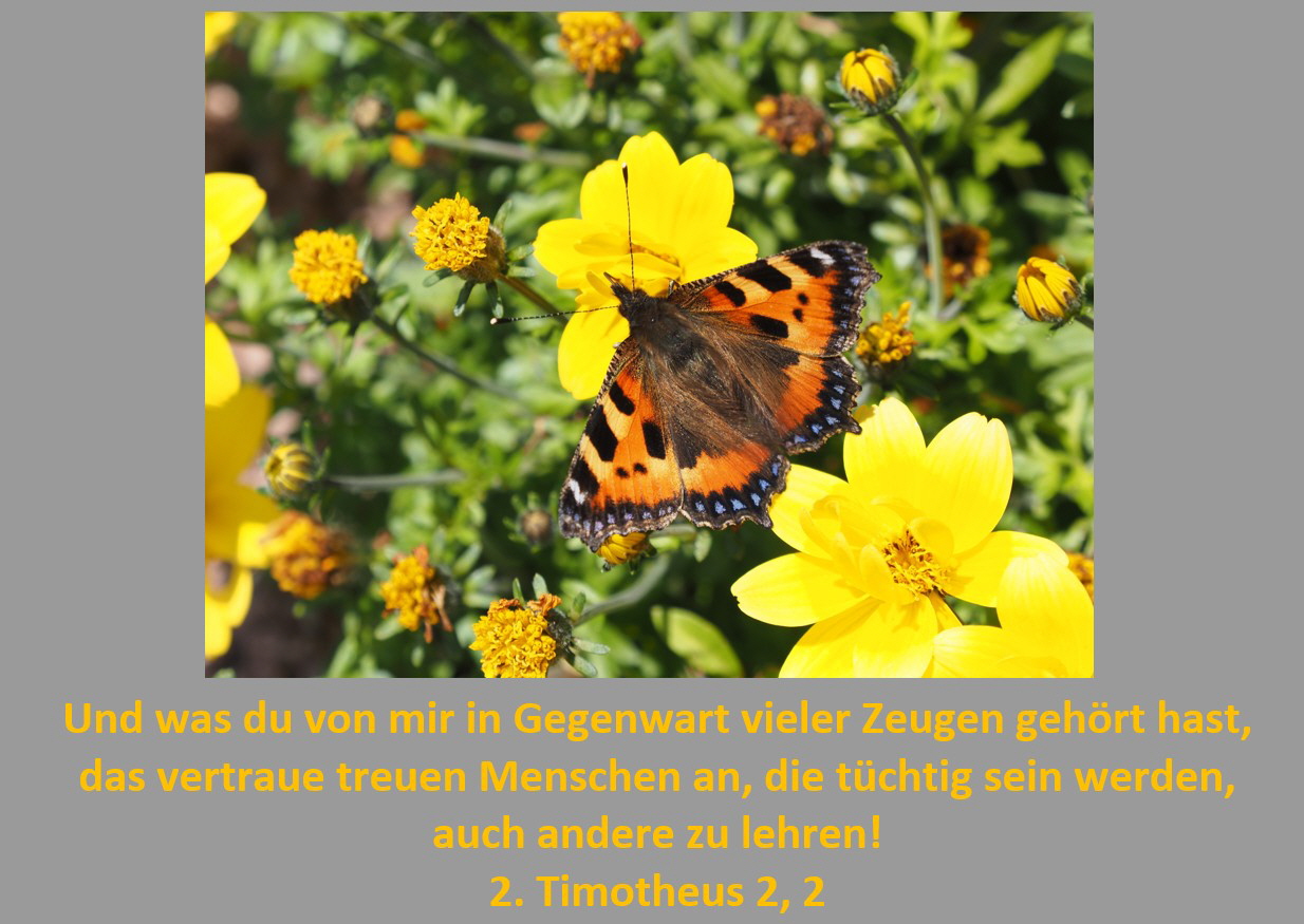 Homepage_August_2026