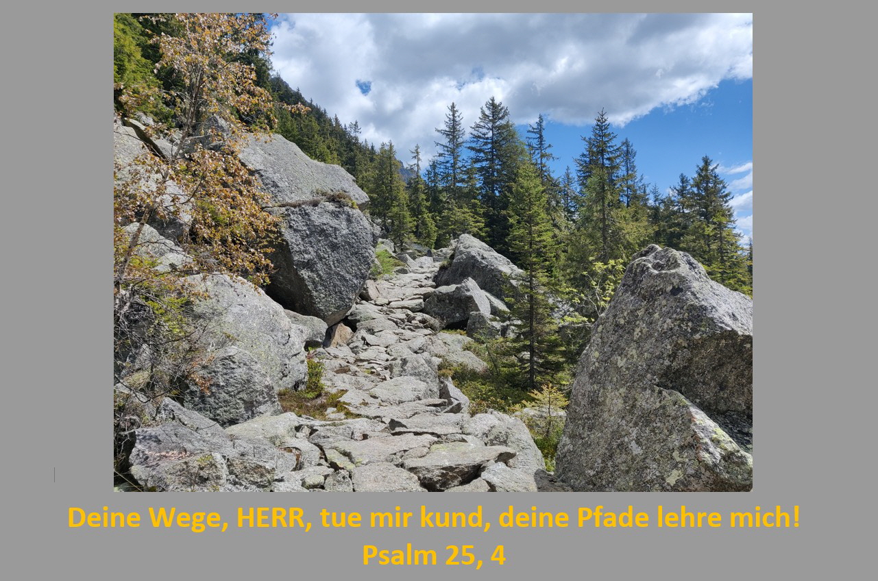 Homepage_Juni_2026